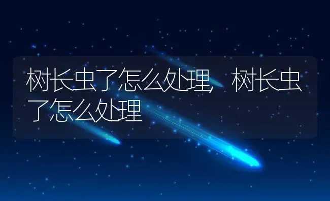 树长虫了怎么处理,树长虫了怎么处理 | 养殖常见问题