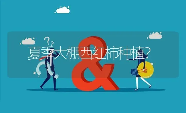 夏季大棚西红柿种植? | 养殖问题解答