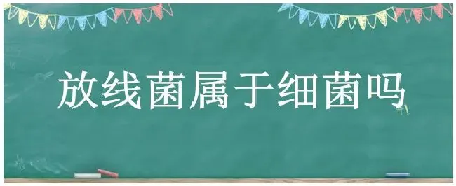 放线菌属于细菌吗 | 农业常识