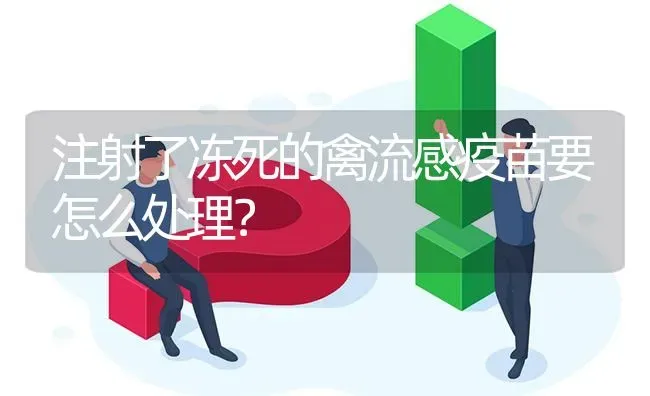 注射了冻死的禽流感疫苗要怎么处理? | 养殖问题解答