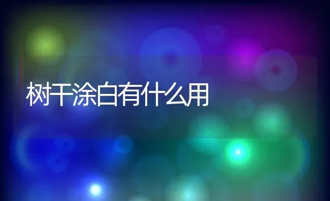 树干涂白有什么用 | 养殖常见问题