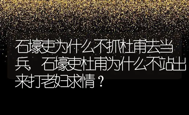 石壕吏为什么不抓杜甫去当兵,石壕吏杜甫为什么不站出来打老妇求情？ | 养殖常见问题