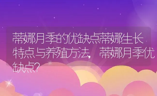 蒂娜月季的优缺点蒂娜生长特点与养殖方法,蒂娜月季优缺点？ | 养殖常见问题