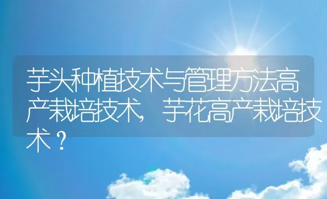 芋头种植技术与管理方法高产栽培技术,芋花高产栽培技术？ | 养殖常见问题