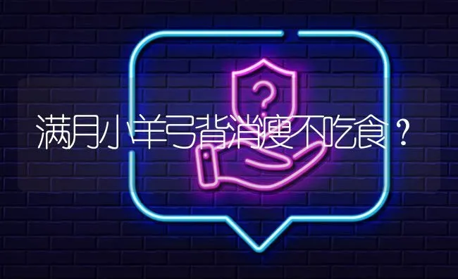 满月小羊弓背消瘦不吃食? | 养殖问题解答