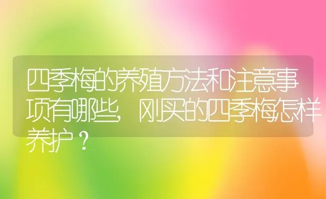 四季梅的养殖方法和注意事项有哪些,刚买的四季梅怎样养护？ | 养殖常见问题