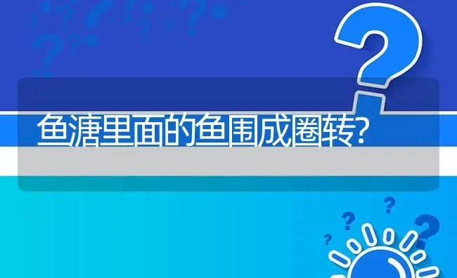 鱼溏里面的鱼围成圈转? | 养殖问题解答