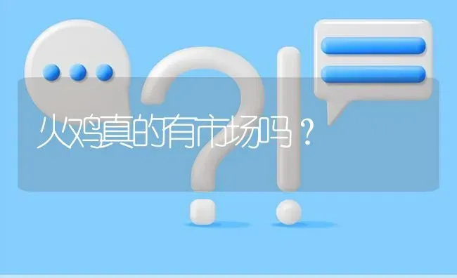 火鸡真的有市场吗? | 养殖问题解答