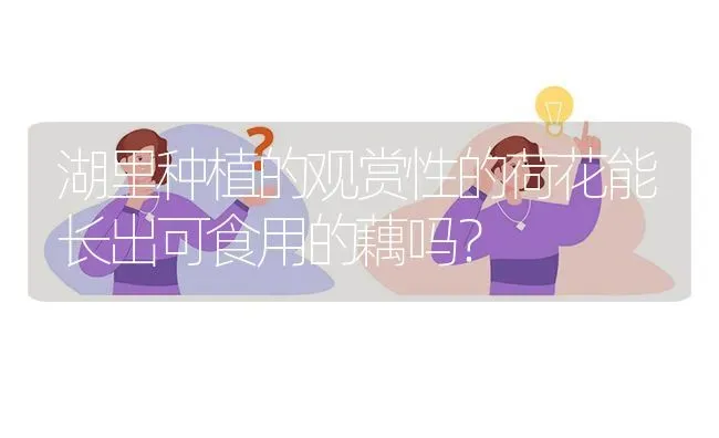 糯稻的病害防治? | 养殖问题解答