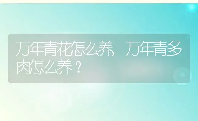 万年青花怎么养,万年青多肉怎么养？ | 养殖常见问题