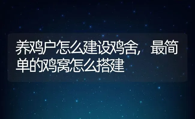 养鸡户怎么建设鸡舍,最简单的鸡窝怎么搭建 | 养殖常见问题