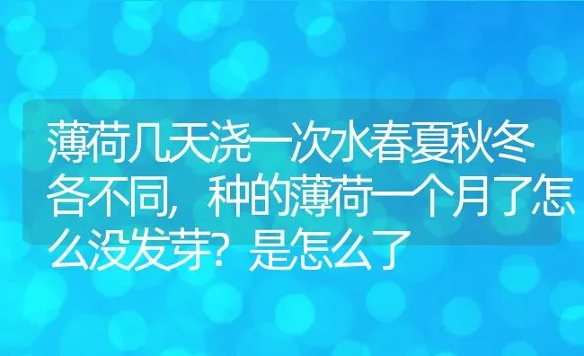 薄荷几天浇一次水春夏秋冬各不同,种的薄荷一个月了怎么没发芽？是怎么了 | 养殖常见问题