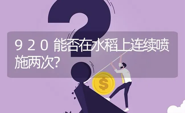 920能否在水稻上连续喷施两次? | 养殖问题解答