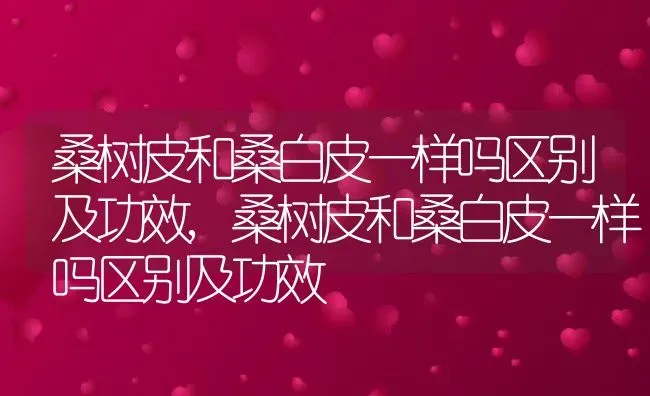 桑树皮和桑白皮一样吗区别及功效,桑树皮和桑白皮一样吗区别及功效 | 养殖常见问题