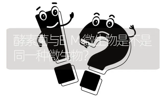 酵素菌与EM微生物是不是同一种微生物? | 养殖问题解答