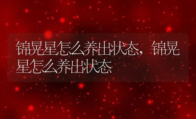 锦晃星怎么养出状态,锦晃星怎么养出状态 | 养殖常见问题