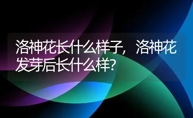 洛神花长什么样子,洛神花发芽后长什么样？ | 养殖常见问题