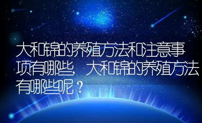 大和锦的养殖方法和注意事项有哪些,大和锦的养殖方法有哪些呢？ | 养殖常见问题