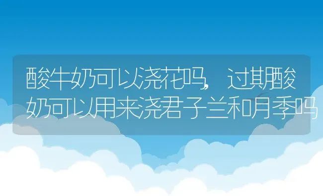 酸牛奶可以浇花吗,过期酸奶可以用来浇君子兰和月季吗 | 养殖常见问题