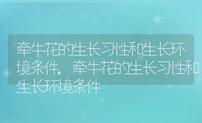 牵牛花的生长习性和生长环境条件,牵牛花的生长习性和生长环境条件 | 养殖常见问题