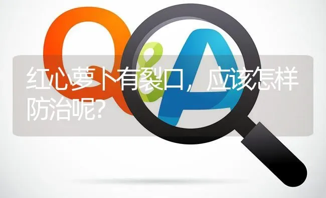 红心萝卜有裂口,应该怎样防治呢? | 养殖问题解答