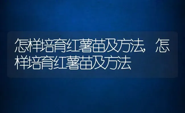 怎样培育红薯苗及方法,怎样培育红薯苗及方法 | 养殖常见问题