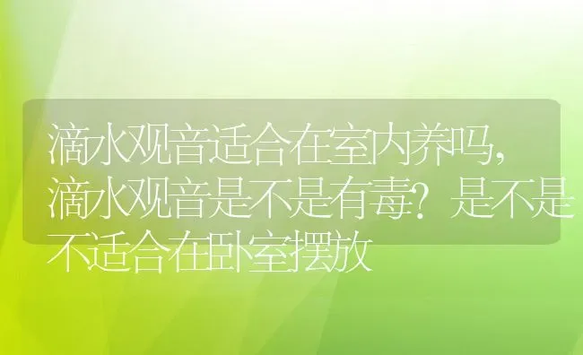 滴水观音适合在室内养吗,滴水观音是不是有毒？是不是不适合在卧室摆放 | 养殖常见问题