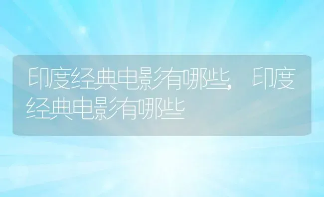 印度经典电影有哪些,印度经典电影有哪些 | 养殖常见问题