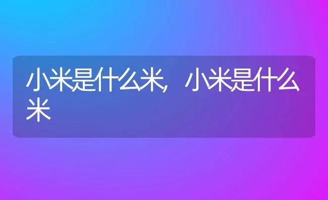 小米是什么米,小米是什么米 | 养殖常见问题