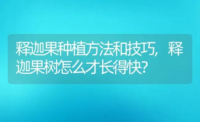 释迦果种植方法和技巧,释迦果树怎么才长得快？ | 养殖常见问题