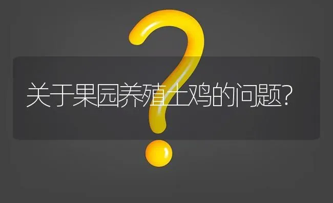 关于果园养殖土鸡的问题? | 养殖问题解答