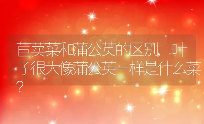 苣荬菜和蒲公英的区别,叶子很大像蒲公英一样是什么菜？ | 养殖常见问题