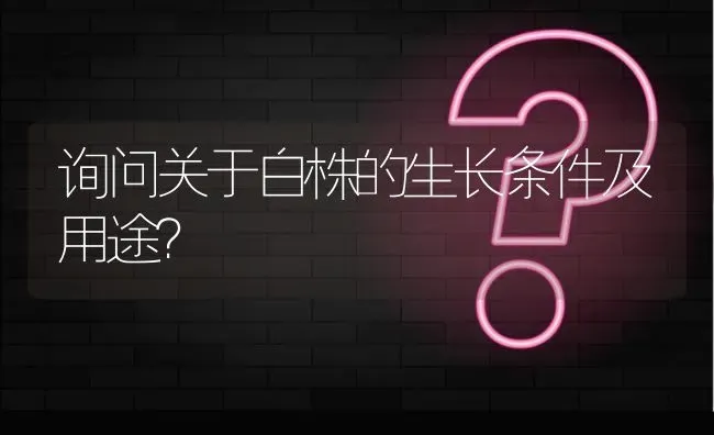 询问关于白株的生长条件及用途? | 养殖问题解答