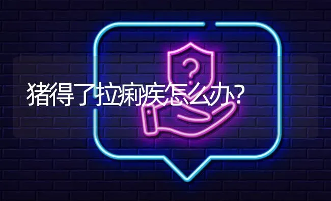 猪得了拉痢疾怎么办? | 养殖问题解答