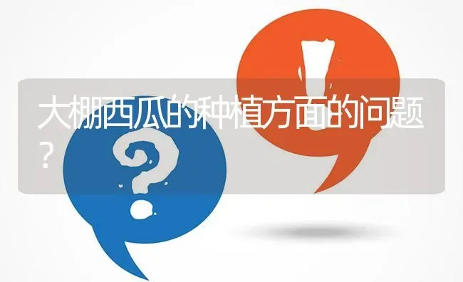 大棚西瓜的种植方面的问题? | 养殖问题解答
