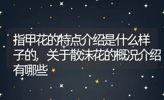 指甲花的特点介绍是什么样子的,关于散沫花的概况介绍有哪些 | 养殖常见问题