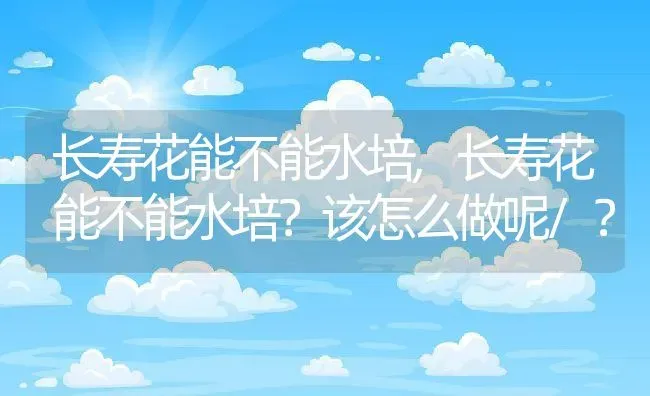 长寿花能不能水培,长寿花能不能水培？该怎么做呢/？ | 养殖常见问题