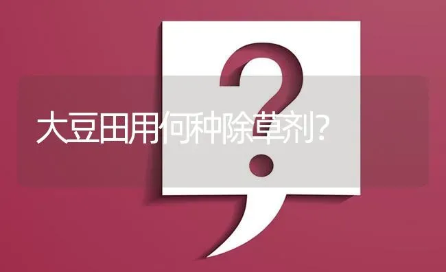 大豆田用何种除草剂? | 养殖问题解答