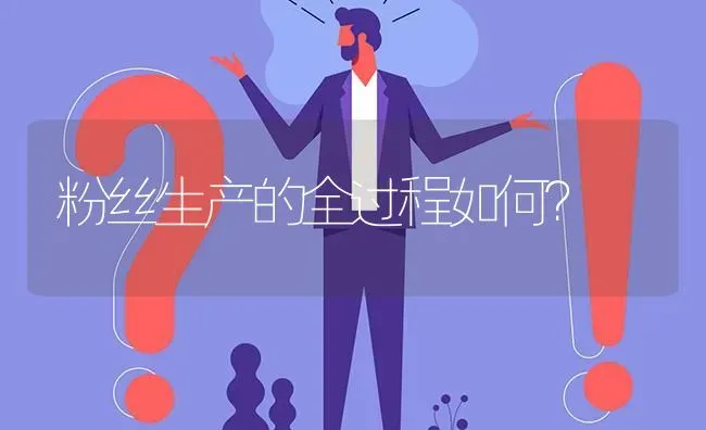 粉丝生产的全过程如何? | 养殖问题解答