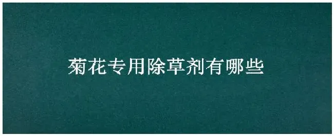 菊花专用除草剂有哪些 | 农业常识