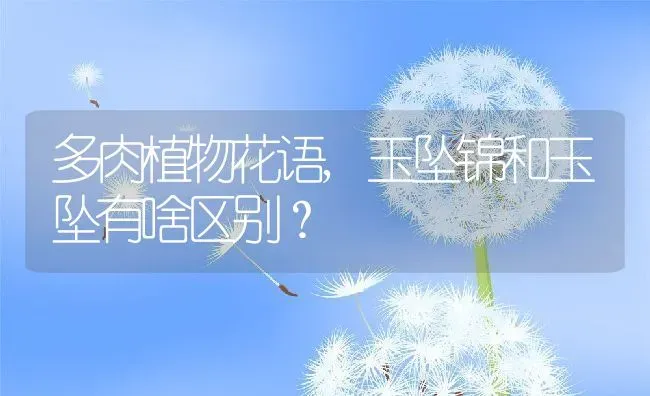 多肉植物花语,玉坠锦和玉坠有啥区别？ | 养殖常见问题