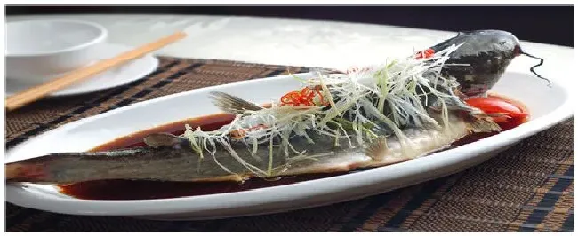 鲈鱼是什么鱼 | 农业常识