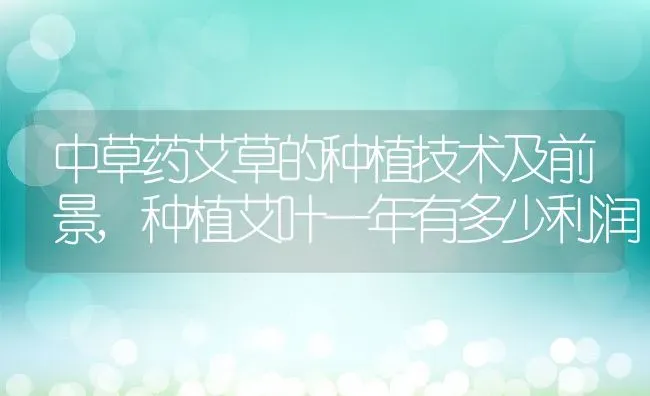 沙棘哪里产的最好,哪里的沙棘原浆好？ | 养殖常见问题