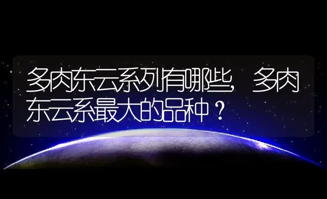 多肉东云系列有哪些,多肉东云系最大的品种？ | 养殖常见问题