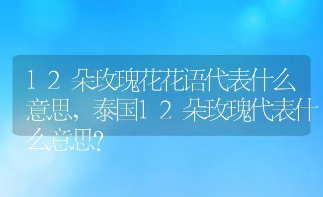 12朵玫瑰花花语代表什么意思,泰国12朵玫瑰代表什么意思？ | 养殖常见问题