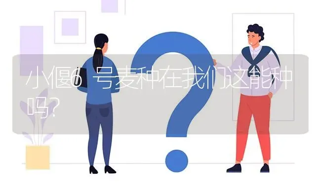 小偃6号麦种在我们这能种吗? | 养殖问题解答