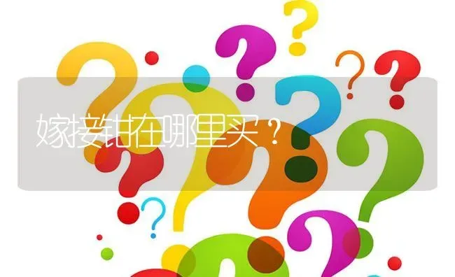 嫁接钳在哪里买? | 养殖问题解答