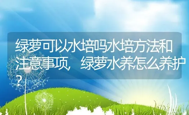 绿萝可以水培吗水培方法和注意事项,绿萝水养怎么养护？ | 养殖常见问题