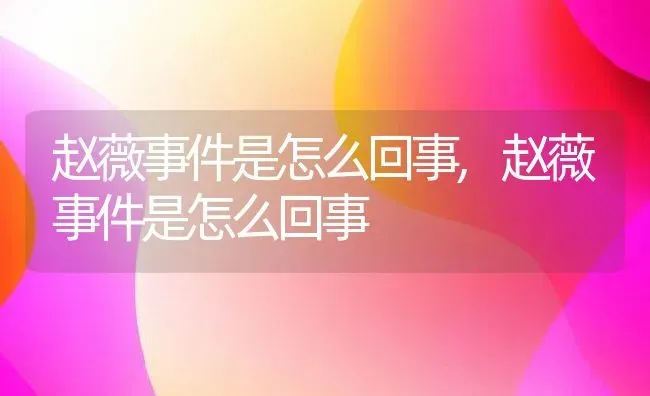 赵薇事件是怎么回事,赵薇事件是怎么回事 | 养殖常见问题