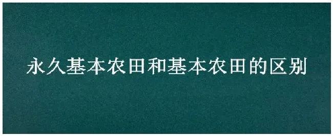 永久基本农田和基本农田的区别 | 三农问答